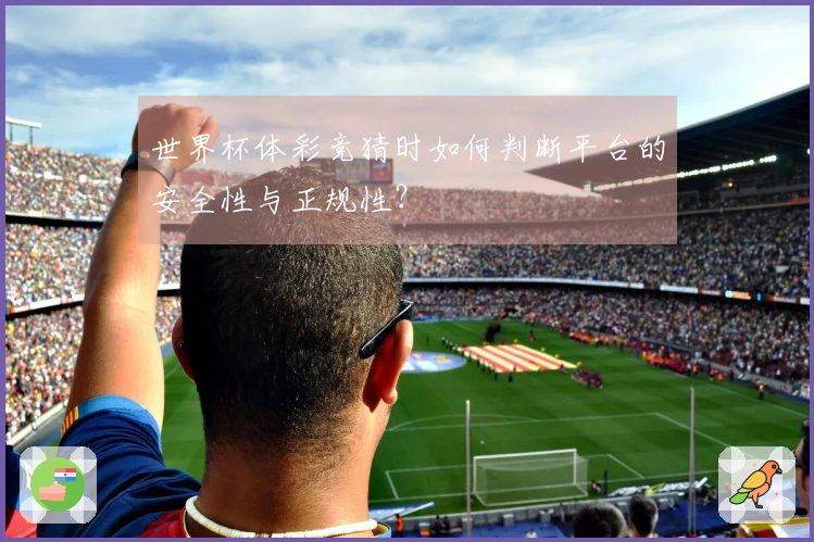 世界杯体彩竞猜时如何判断平台的安全性与正规性？