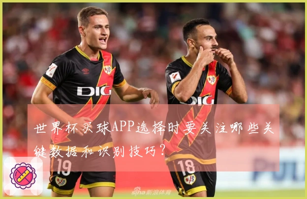 世界杯买球APP选择时要关注哪些关键数据和识别技巧？