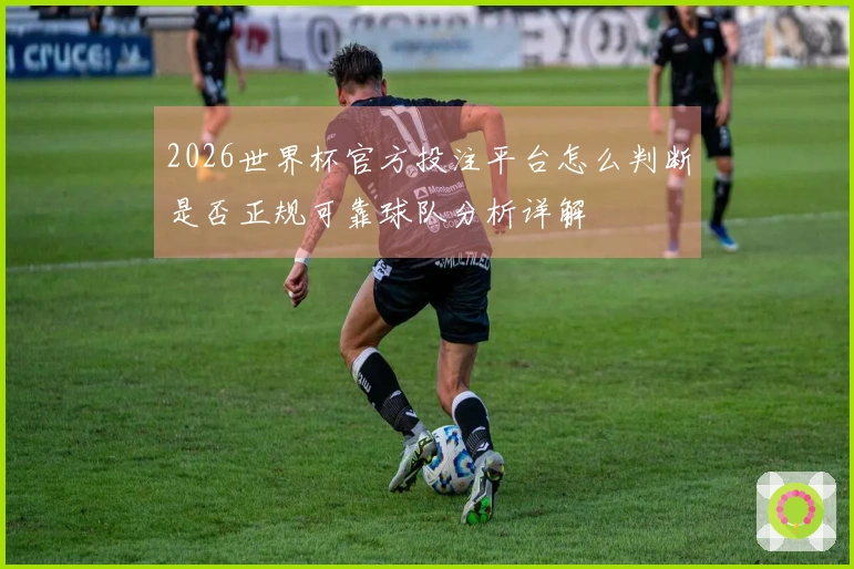 2026世界杯官方投注平台怎么判断是否正规可靠球队分析详解