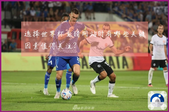 选择世界杯竞猜网站时有哪些关键因素值得关注？