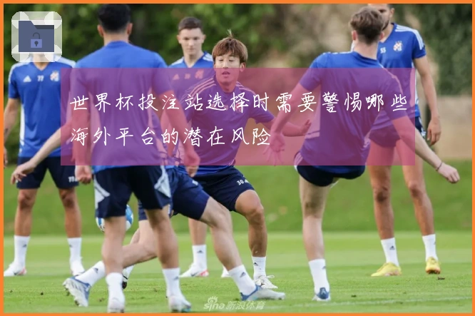 世界杯投注站选择时需要警惕哪些海外平台的潜在风险