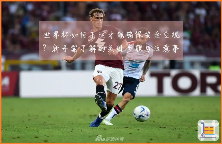 世界杯如何下注才能确保安全合规？新手需了解的关键步骤与注意事项
