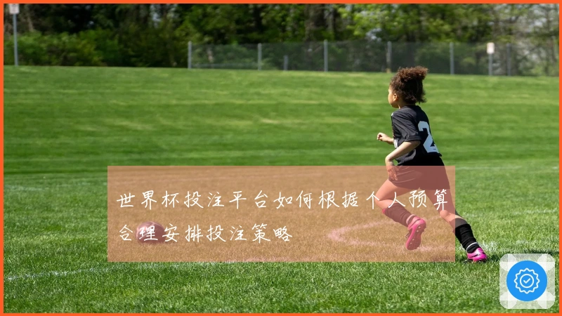 世界杯投注平台如何根据个人预算合理安排投注策略
