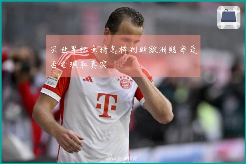 买世界杯竞猜怎样判断欧洲赔率是否合理和真实
