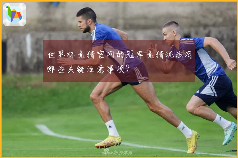 世界杯竞猜官网的冠军竞猜玩法有哪些关键注意事项？