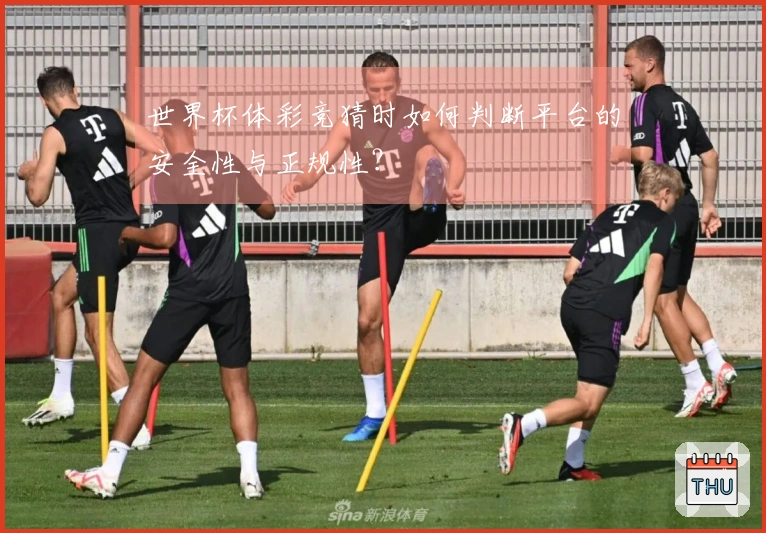 世界杯体彩竞猜时如何判断平台的安全性与正规性？
