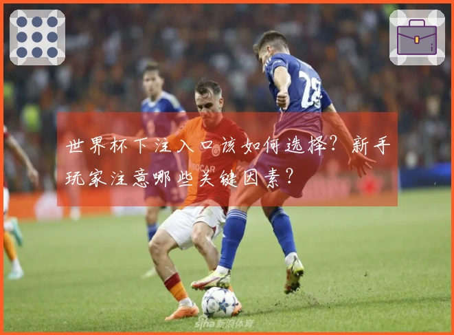 世界杯下注入口该如何选择？新手玩家注意哪些关键因素？