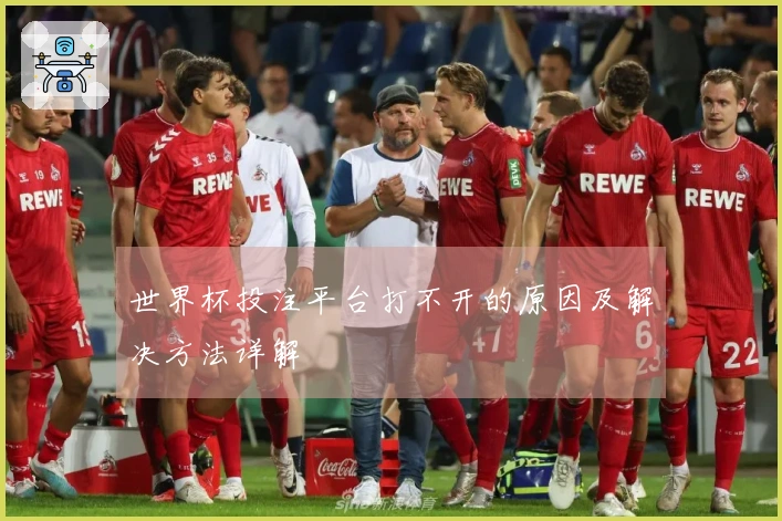 世界杯投注平台打不开的原因及解决方法详解