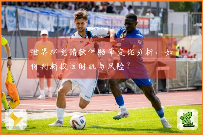 世界杯竞猜软件赔率变化分析，如何判断投注时机与风险？