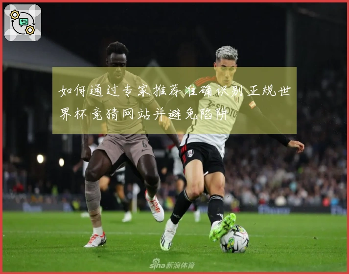 如何通过专家推荐准确识别正规世界杯竞猜网站并避免陷阱