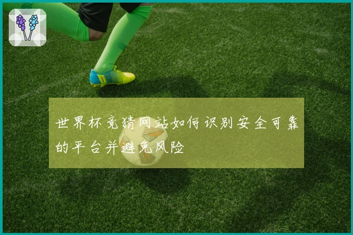 世界杯竞猜网站如何识别安全可靠的平台并避免风险