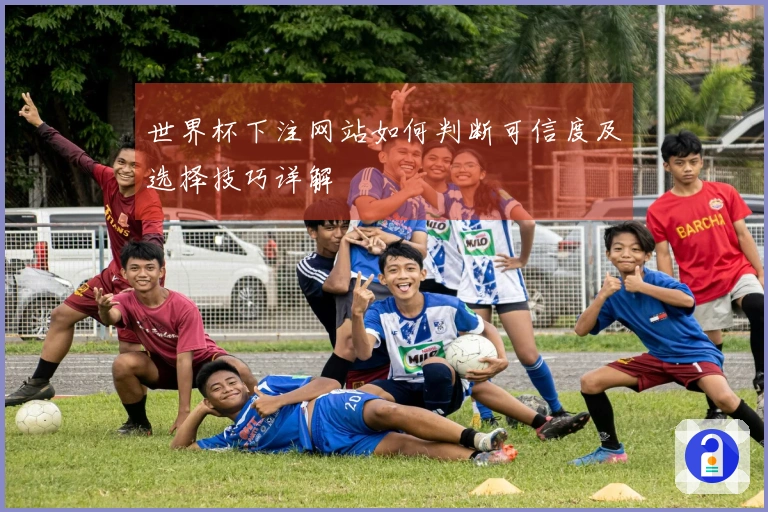 世界杯下注网站如何判断可信度及选择技巧详解