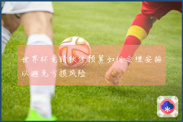 世界杯竞猜软件预算如何合理安排以避免亏损风险