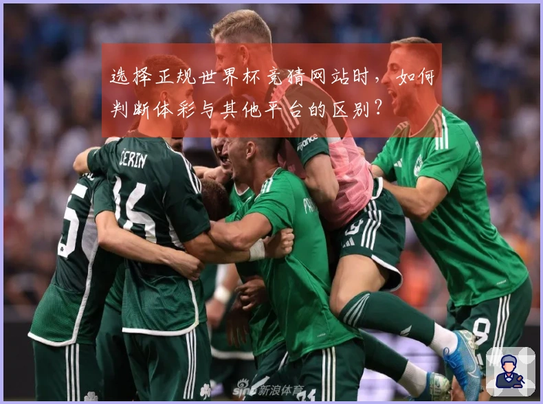选择正规世界杯竞猜网站时，如何判断体彩与其他平台的区别？