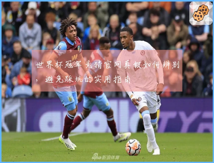 世界杯冠军竞猜官网真假如何辨别，避免踩坑的实用指南