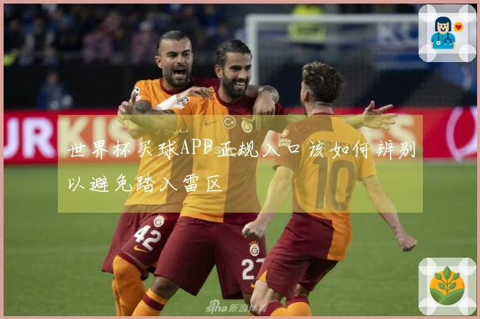 世界杯买球APP正规入口该如何辨别以避免踏入雷区