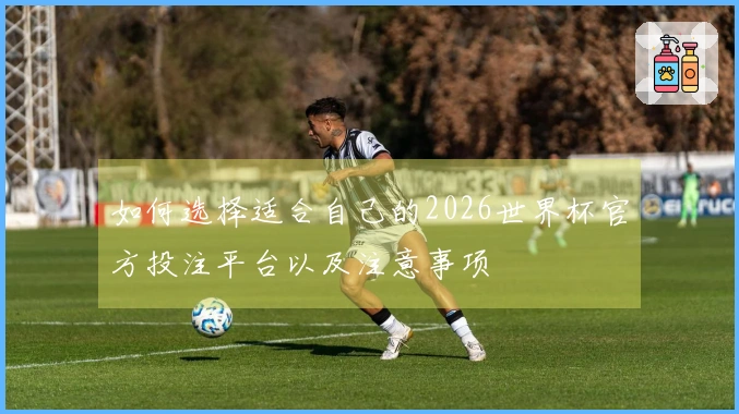如何选择适合自己的2026世界杯官方投注平台以及注意事项