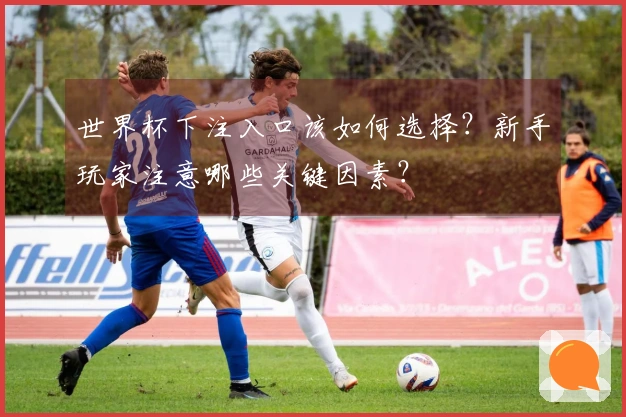 世界杯下注入口该如何选择？新手玩家注意哪些关键因素？