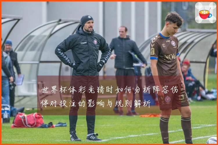 世界杯体彩竞猜时如何分析阵容伤停对投注的影响与规则解析