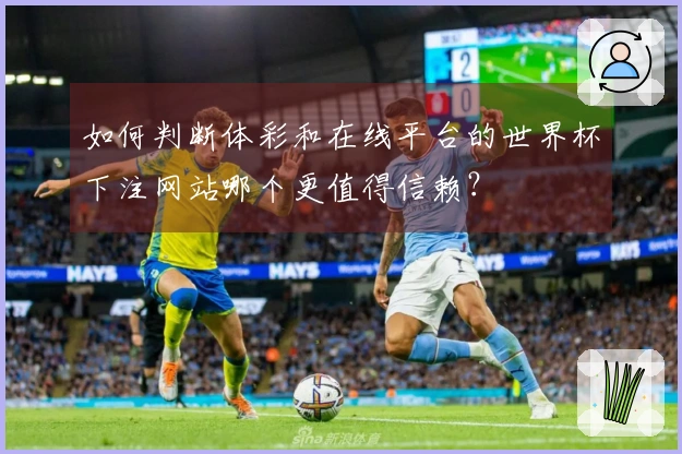 如何判断体彩和在线平台的世界杯下注网站哪个更值得信赖？