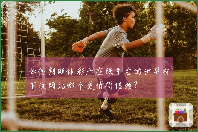 如何判断体彩和在线平台的世界杯下注网站哪个更值得信赖？
