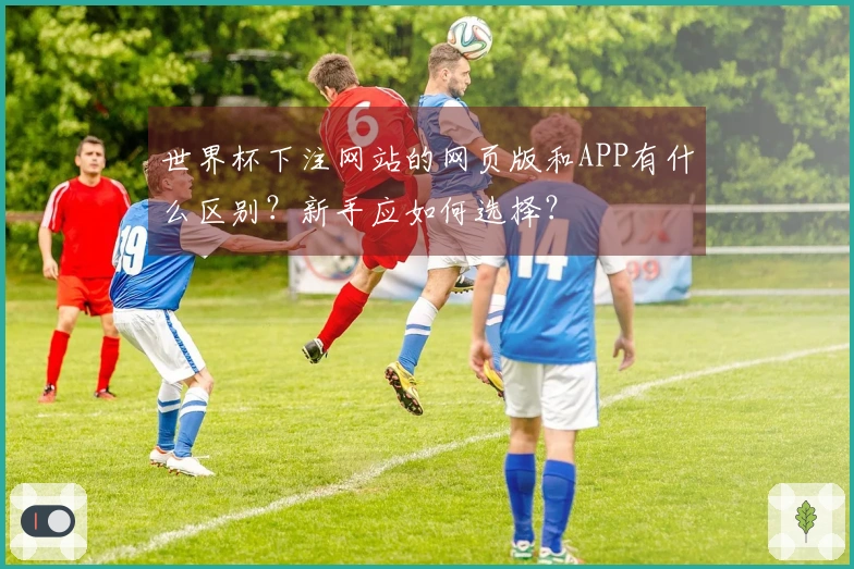 世界杯下注网站的网页版和APP有什么区别？新手应如何选择？