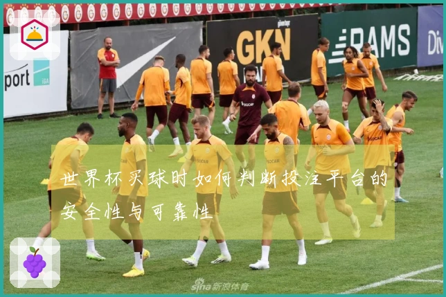 世界杯买球时如何判断投注平台的安全性与可靠性