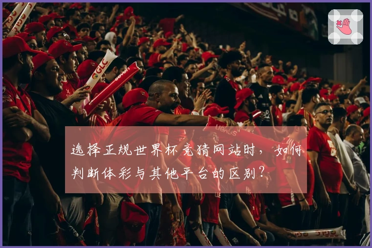选择正规世界杯竞猜网站时，如何判断体彩与其他平台的区别？