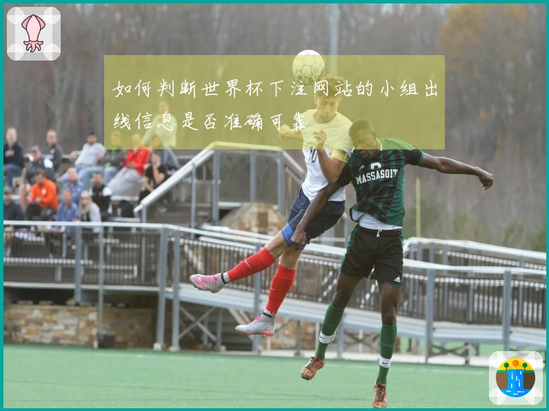 如何判断世界杯下注网站的小组出线信息是否准确可靠