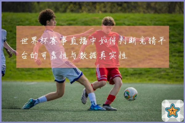 世界杯赛事直播中如何判断竞猜平台的可靠性与数据真实性