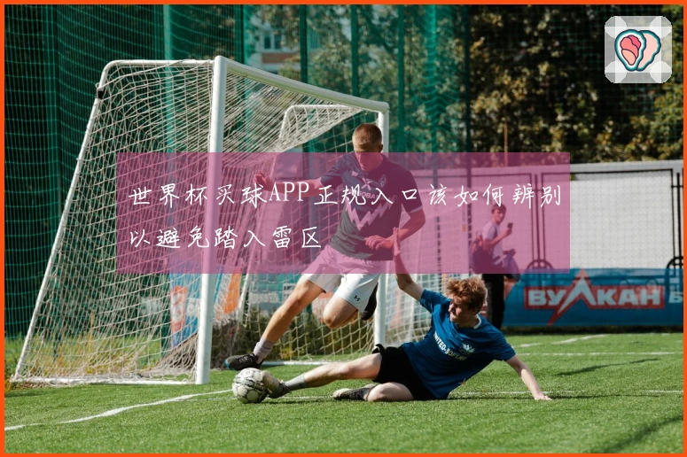 世界杯买球APP正规入口该如何辨别以避免踏入雷区