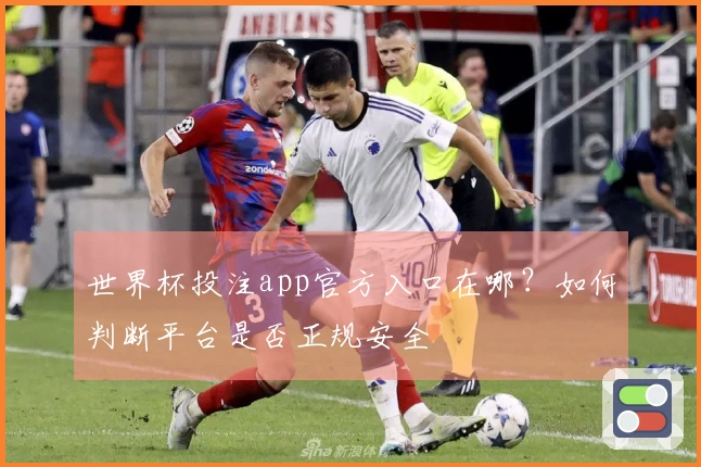 世界杯投注app官方入口在哪？如何判断平台是否正规安全