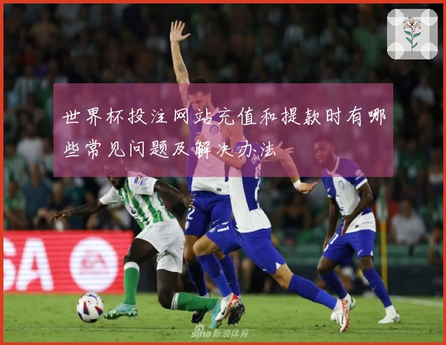 世界杯投注网站充值和提款时有哪些常见问题及解决办法