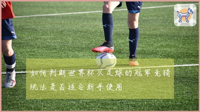 如何判断世界杯买足球的冠军竞猜玩法是否适合新手使用