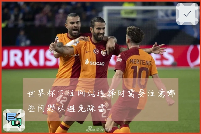 世界杯下注网站选择时需要注意哪些问题以避免踩雷