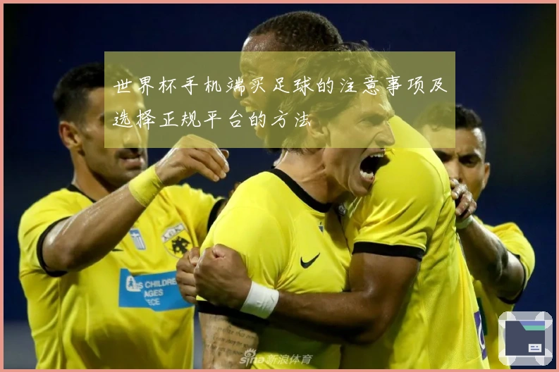 世界杯手机端买足球的注意事项及选择正规平台的方法