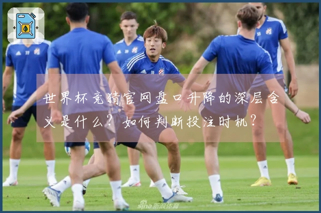 世界杯竞猜官网盘口升降的深层含义是什么？如何判断投注时机？