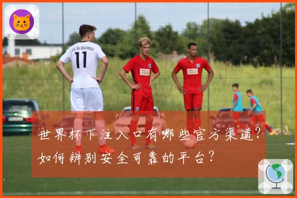 世界杯下注入口有哪些官方渠道？如何辨别安全可靠的平台？