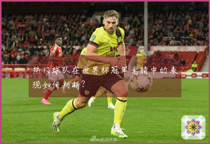 热门球队在世界杯冠军竞猜中的表现如何判断？