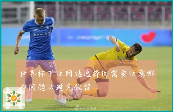 世界杯下注网站选择时需要注意哪些问题以避免踩雷